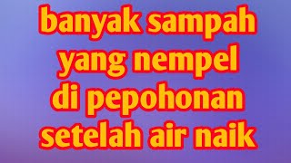 Kampung Ku Habis Terkena Air Banjir