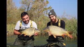 Hungarian trip, carpfishing at Balaton Lake.