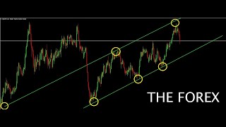 FOREX - EURUSD / NZDJPY - The Forex