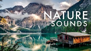 Music for sleep, relaxation, mediation, yoga | Nature sounds and wind chimes