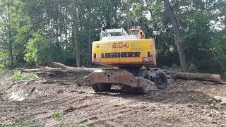 Sturmschädenbeseitigung letzter Tag heute.  Bäume schubsen mit dem Liebherr 904 ..😀😀👍👍