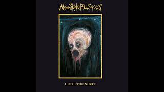 New Skeletal Faces - Until The Night (Full Album)