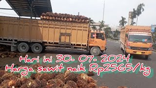 harga sawit naik lagi, Rp2565/kg truk sawit yg masuk luar biasa!!@suriadi kw loader