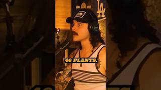 Growing Trees 🌲 vs. Potatoes 🥔? | Young Blood Podcast Clips! #shorts #funny #viral