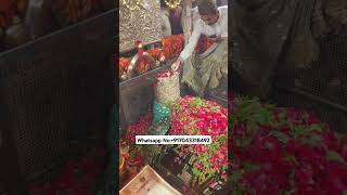 Mira datar dargah Urs stetus|whatsapp qawwali status|2024new qawwali|Famous qawwali|mira data