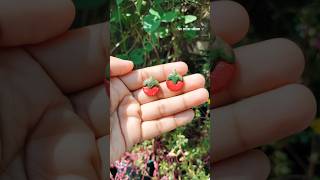 Tomato Earring diy🍅🤭 #easy #simple #handmade #trending #trendingsong #youtubeshorts #shorts #funny