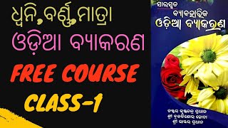 ସାରସ୍ବତ ଓଡ଼ିଆ ବ୍ୟାକରଣ odia grammar |class1 | Odia grammar For OSSC, OSSSC,ASO| for odisha govt. jobs