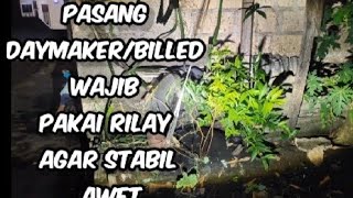 PASANG RILAY LAMPU AGAR STABIL DAN TERANG UNTUK DAYMAKER BILLED