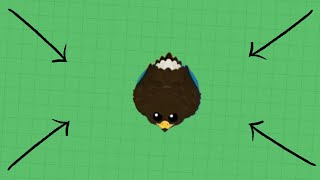 Consegui Aguia Dourada no Roams.io #io #roams #mope #iosgames #bettermope #game