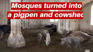 Mosques turned into a pigpen & cowshed in Azerbaijan's occupied Agdam district.