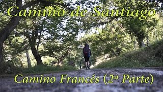 Camino de Santiago (2ª parte) | Camino Francés