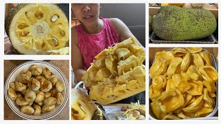 Complete Guide on How to Know when the Jackfruit is Ripe | How to Cut it | How to Cook the Seeds!