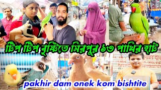 tip tip bestie te mirpur 13 pakhir hat | mirpur 13 nambar | হাস মুরগি কবুতরের হাট |