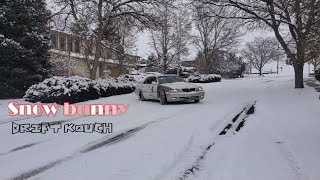 Useless video 70 Snow Bunny #cima #y33 #q45