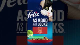 Top 10 Best Cat Food Brands in Russia | Please subscribe :) #animals #shortsvideo #cat  #pets