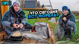 Половили ФОРЕЛЬ на безлимите 🐟! Помогли наработки из мормышки и новые проводки! 🍳РЫБАЛКА УДАЛАСЬ!