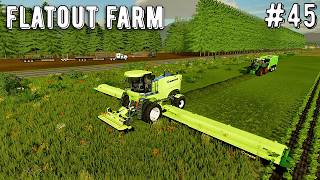 farming Simulator 22 Flatout Farm Timelapse Ep #45  Mega Farm fs22 gameplay