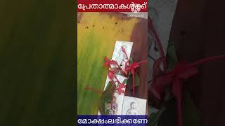 പിതൃകൾക്കു ക്ഷേത്രപിണ്ഡം കഴിഞ്ഞ് പ്രതിമകൾ നിമഞ്ജനം ചെയ്യുന്നു#shorts#വേദമന്ത്ര#infinite