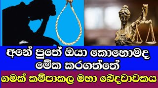 අවුරුදු 14ක සිසුවා ගෙල වැලලාගෙන මියයයි,