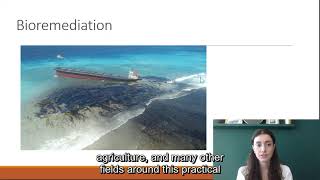 Saliha Bayir - Bioremediation as Ecosystem Engineering: experimentation and narratives