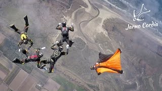 Formation Skydiving vs Wingsuit Flying