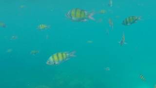 Snorkeling Koh Lipe - 5 November 2016