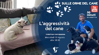 Aggressività canina