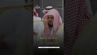 مقتطف من تلاوة فضيلة الشيخ د. #ماهر_المعيقلي من صلاة العشاء 14 ربيع الآخر 1446هـ.