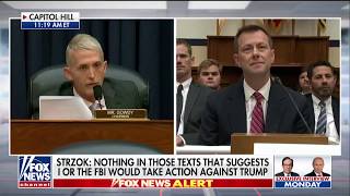 Rep. Trey Gowdy Says To Peter Strzok "I Don't Give A Damn!"