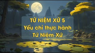 TỨ NIỆM XỨ 5 - Yếu chỉ thực hành Tứ Niệm Xứ -  TT Thích Chân Quang