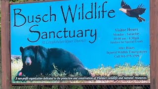 Busch Wildlife Sanctuary Part-2