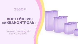 Обзор контейнеров «Акваконтроль» от Tupperware