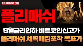 [POLYX 폴리매쉬 코인전망] 대형 고래 진입 ! 바닥 형성, 최소 "여기"까지는 갑니다