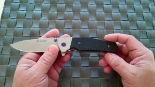 Ganzo 749. A nice affordable flipper.