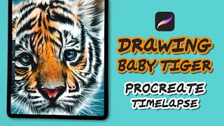 Drawing Baby Tiger In Procreate (#Shorts)