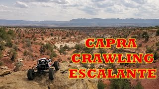 Capra RC Rock Crawling in Escalante