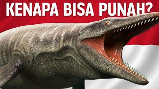 Mengapa Reptil Purba Ini Bisa Punah Dari Lautan Indonesia? | #BelajarDuniaPurba