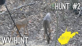 Mid-October hunting in WV | Fixing feeder issue & some does!