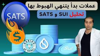 انتبه .. عملات رقمية وصلت لمناطق الانطلاق - تحليل عملة SUI - عملة SATS