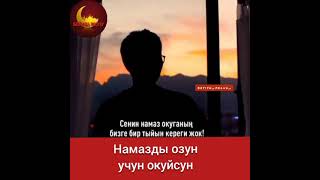 Чубак ажы