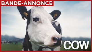 COW | Bande-annonce