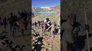 बाल टाल से बाबा बर्फानी पवितर गुफा तक का सफर 🔱#amarnath yatra#Shorts#अमरनाथ#trending shorts