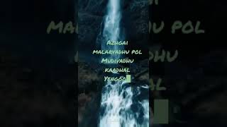 Alagai malarvathu pol | Anirudh | twinklebeatz | tamil songs | love songs tamil |