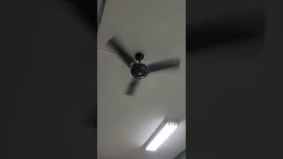 Ventilador de teto Tron Eco Rio