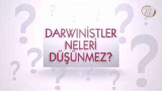 Darwinistler neleri düşünmez?