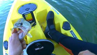 Pesca del Black Bass desde Kayak