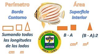 5º Básicos, Área y Perímetro en ThatQuiz - Colegio María Montessori (Arica, Chile)