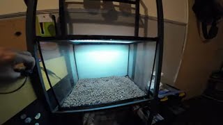 My Bio-Active ISOPOD Terrarium ECO System #1 HOMCOM PawHut Reptile Tank Ebay UK / Unboxing & Set Up