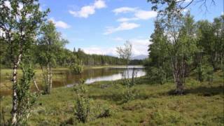 three swedish folksongs -  "tre svenska folkvisor"  for oboe and strings, arr. Lars Modin