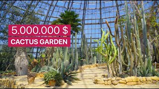 Quick Tour -  5.000.000$ Cactus Garden // Joy Garden Succulent